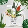 Herbal Essences Argan Oil &amp; Aloe Vera Hair Oil Blend for Hair Repair and Dry Hair 100ml