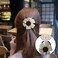 Aiwanto 3Pcs Hair Bands for Women's Hair Tie Flower Hair Bands for Kids Women's