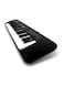 Casio - Ctk-240 Keyboard Black/White