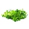 Microgreens Pea Shoots 50G