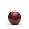 Santa Rosa Plum