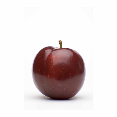 Santa Rosa Plum