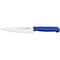 Tramontina Since 1911, Made In Brazil Professional 10 Inches Meat Knife With Stainless Steel Blade And Blue Polypropylene Handle With Antimicrobial Protection