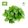 Techno Farm Organic Mint Tray - 100g