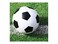 Sports Fanatic Soccer Beverage Napkins 2-Ply