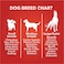 Drools Chicken and Egg Biscuit, Dog Treats - Jar, 800 g
