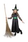 Storybook Witch Costume - L