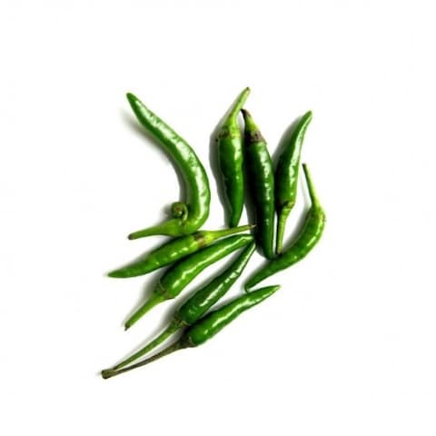 Chilly Green Small