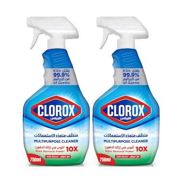 Clorox Multi Purpose Cleaner Stain Remover Power With Bleach 750mlx2 Pieces