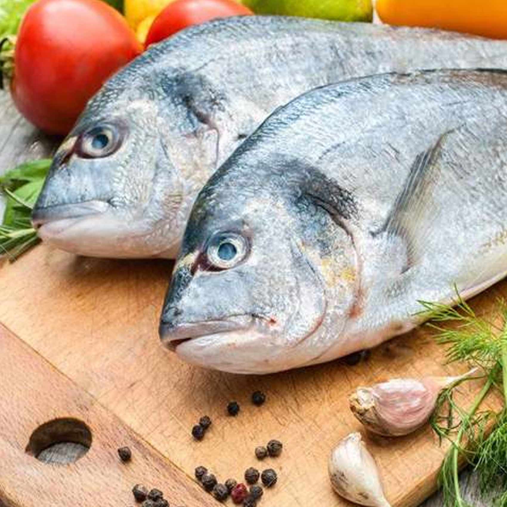 Seabream Fish Middle East