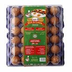 Buy Al Jazira Golden Eggs Rich in Lutein Medium Brown/White Eggs 30 PCS in UAE