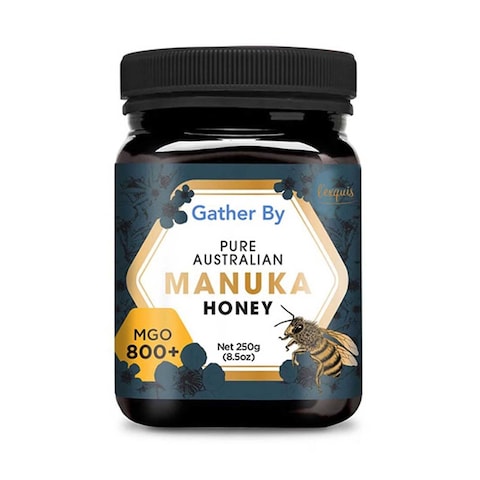 Buy L'Exquis Manuka Honey 800+ MGO 250g Online | Carrefour Qatar