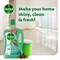 Dettol Pine 3X Power Antibacterial Floor Cleaner, 1.8L