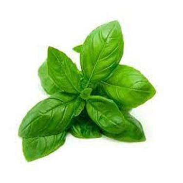 Basil Local
