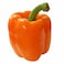 Capsicum Orange Bag 1Kg
