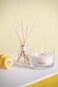 Bolsius Fresh Breeze Anti-Tobacco Tealight Candles