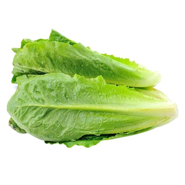 Lettuce Cos Loose 1pc