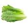Lettuce Cos Loose 1pc