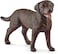Schleich Labrador Retriever Female Toy Figure, 13834