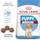 Size Health Nutrition Medium Puppy 4 KG