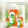 Dettol Antiseptic Antibacterial Disinfectant Liquid 750ml