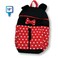 Ajeeb 18 Inches Backpack Set 18B-Bak