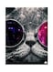 Metal Plate Poster Multicolour 15x20centimeter