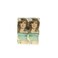 Garnier Color Natural 7.1 Ash Blonde 2 pieces