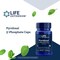 Life Extension Pyridoxal 5-Phosphate 100 Mg Vegetarian Capsules, 60-Count