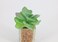 Artificial succulent bonsai-Model 08
