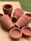 DIY Gardening Kit - Detox and Purify