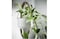 Hanging planter, light grey, 12 cm