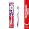 Colgate Zigzag Plus Tootbrush