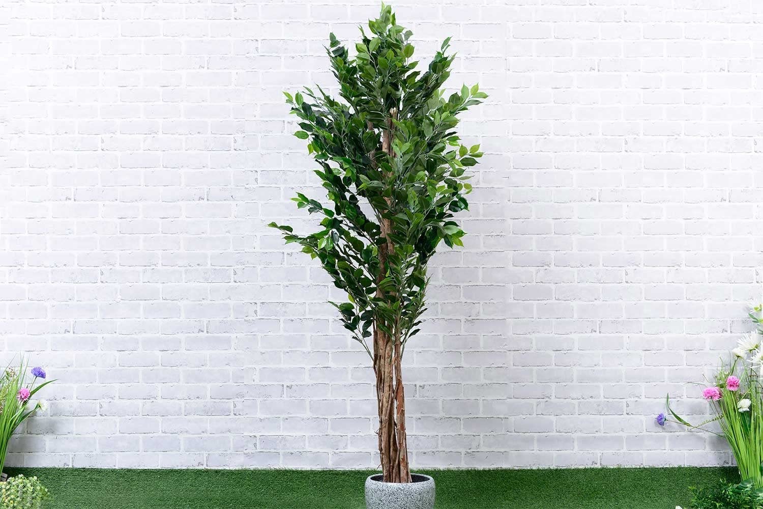 PAN Home Ficus-Tree Wood Trunk W/Pot Green H180cm