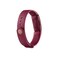 Fitbit Watch Inspire Sangria