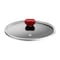 Tefal Expert Stewpot with Glass Lid - Size 26 - Red