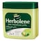 Dabur Herbolene Aloe Petroleum Jelly 225ml