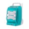 Renga Daisy Jug Colored With Infuser Assorted