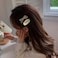 Aiwanto 2Pack Hair Clips Hair Accessories Hair Side Clips Girl's Hair Clips
