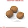 Royal Canin Shn Giant Puppy 15 Kg Size Health Nutrition Dog Food, Giant Puppy Food