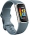 Fitbit Charge 5 Fitness &amp; Health Tracker (Steel Blue / Platinum Stainless Steel)