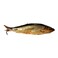 Herring Smoked