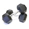 Harley Fitness 10.00KG Rubber Coated Fixed Hex Dumbbell 1 Pair