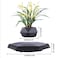 Floating Plant Pot -Levitating Plant Pot for Succulents, Floating Planter for Home, Office &amp; Desk Levitating Decor. Magnetic Levitation Display- Home Decor, Office, Living Room