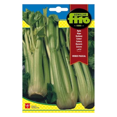 Fito Seeds Pascal Green Celery