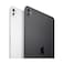 Apple 13inch iPad Pro M4 2024 WiFi 256GB with standard glass ndash Space Black