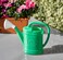 Plastic Forte Small Watering Can