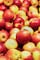 European Apples