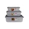 Gab Plastic Microwave Safe Food Containers, Pack of 3