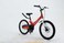 Raleigh JAZZI 20" Aluminium Magnesium Lightweight Frame kids Bike(Red)